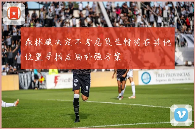 森林狼决定不考虑莫兰特将在其他位置寻找后场补强方案